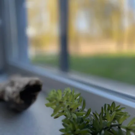 Trentseeparadies 아파트